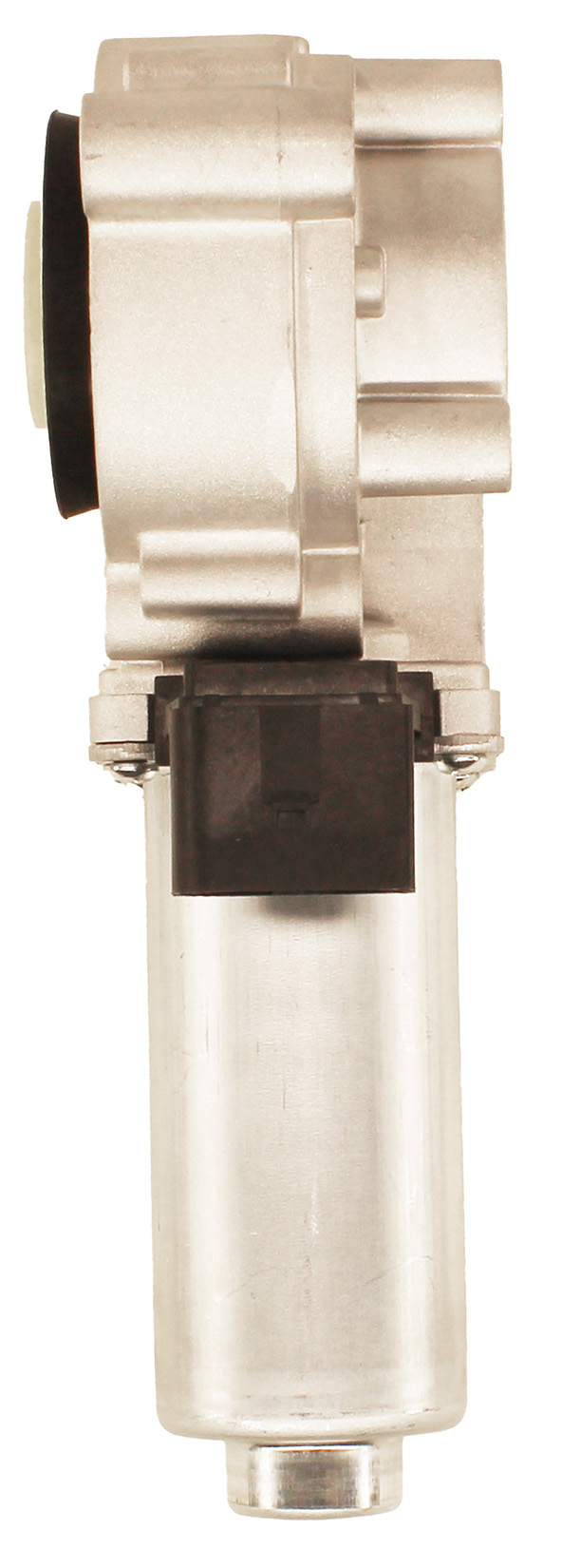 Lara 29608
